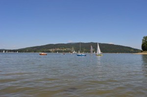 11709218_826406880741940_5770281689483849970_n